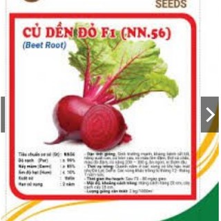 HẠT GIỐNG CỦ DỀN ĐỎ F1 GÓI 10GRAM