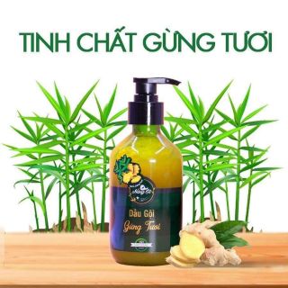 Dầu gội gừng tươi nàng ơi (CAM KẾT CHÍNH HÃNG)
