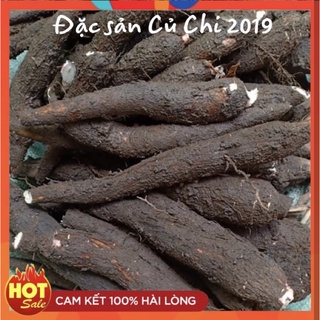 [Chỉ ship HCM][Đặc sản Củ Chi] Củ mì, khoai mì tươi 1kg