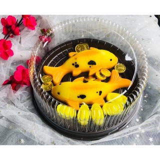 10 Hộp nhựa A024