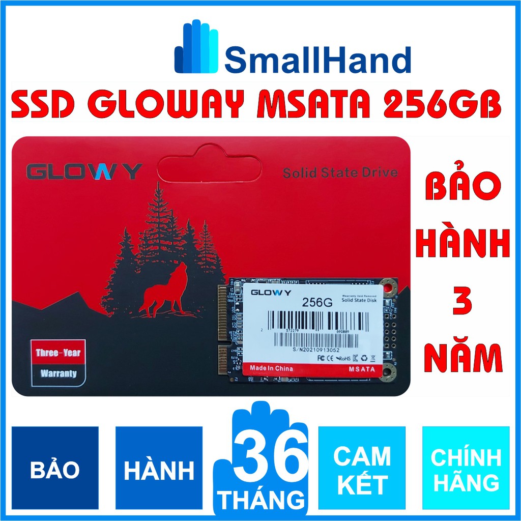 Ổ cứng SSD mSATA Gloway 256GB (Sata3.0) – CHÍNH HÃNG – Bảo hành 3 năm - SSD 256GB