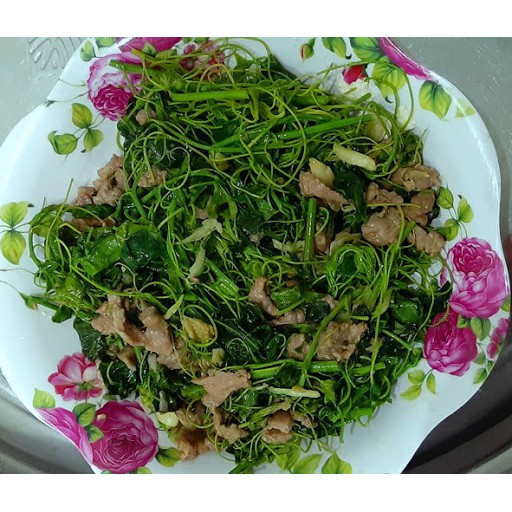 Cây giống RAU BÒ KHAI
