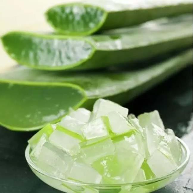Thạch Nha Đam Aloka 1kg - Thanh Mát Cơ Thể Sáng Đẹp Làn Da Cotra