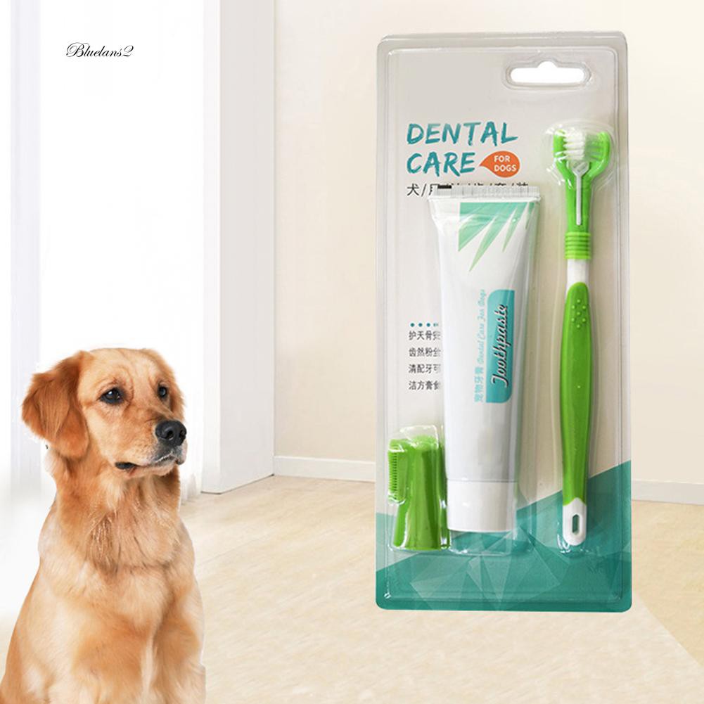 Bộ 2 Bàn Chải Đánh Răng Cho Thú Cưng