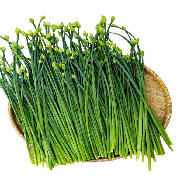 Hạt Giống Hẹ Ăn Bông (RADO523) Dễ trồng 1gr