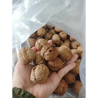 Yellow Walnuts - Hạt óc chó vàng
