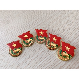 COMBO 10 HUY HIỆU ĐOÀN CHUẨN