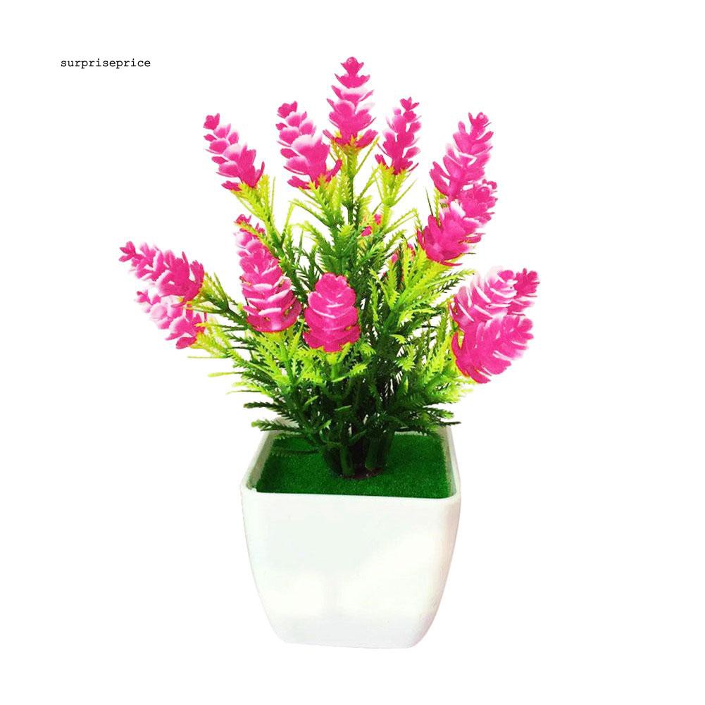 Chậu cây thông nhân tạo dành cho trang trí tiểu cảnh