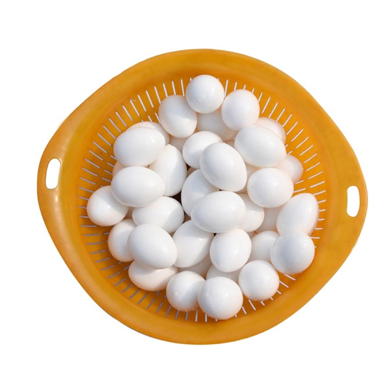 Bộ 5 Tổ Trứng Bằng Nhựa Màu Trắng