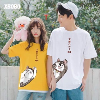Áo thun mèo lấp ló - TR