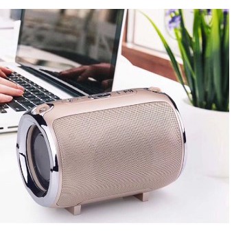 Loa Bluetooth Kèm Mic Hát
