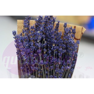Bó hoa lavender khô