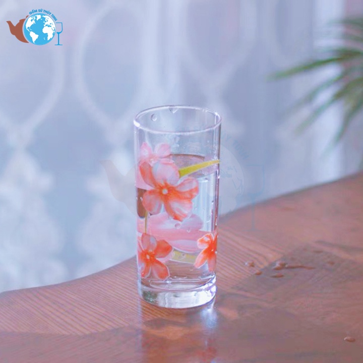 Bộ 6 ly thủy tinh ống in hoa văn DELI EC6 270ML dùng uống cafe sinh tố