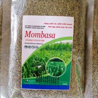 Cỏ Ghine Mombasa - Cỏ Sả Lá Lớn (Gói 100g)