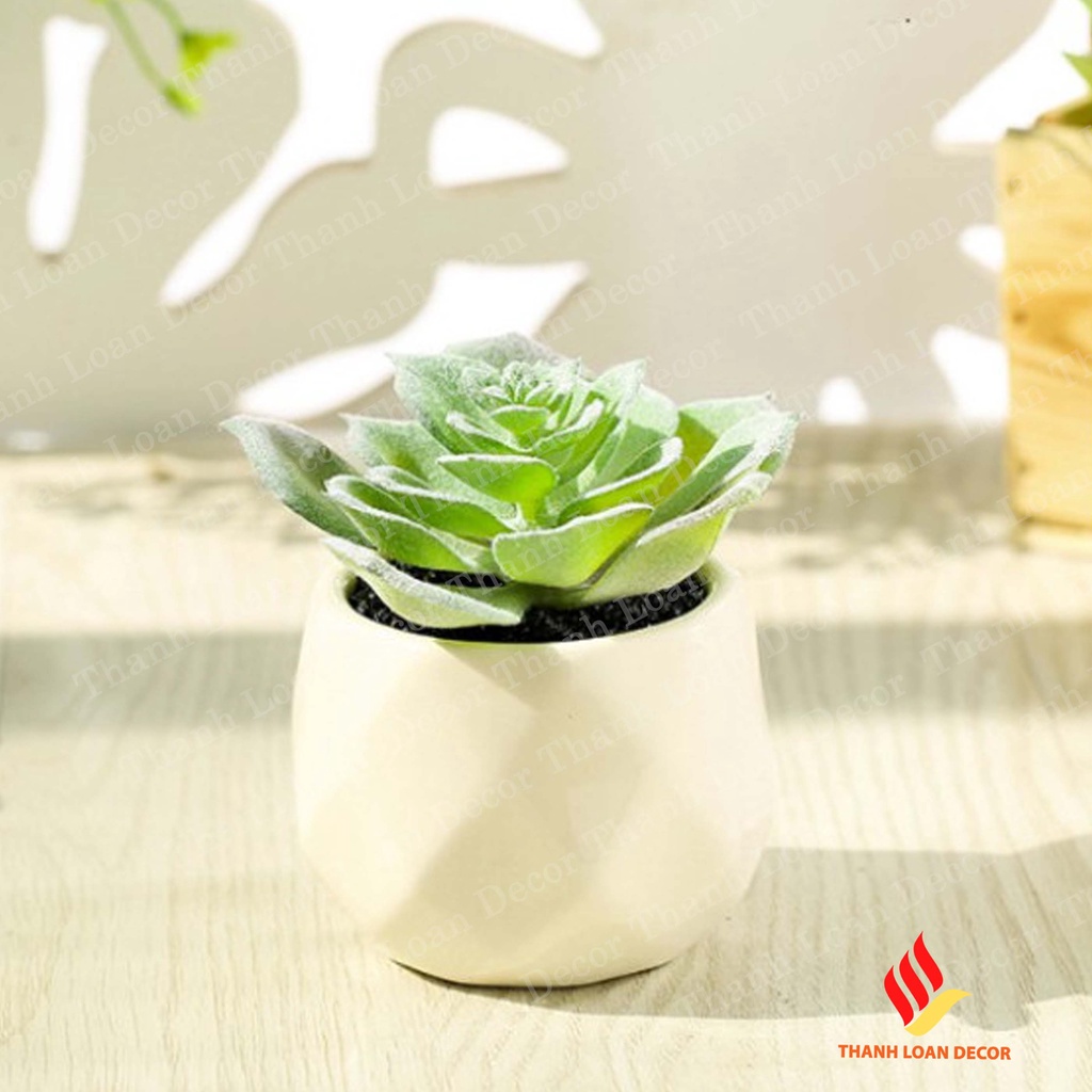 Chậu sứ mini Bát Tràng - Trồng sen đá, xương rồng để bàn xinh xắn - Màu trắng