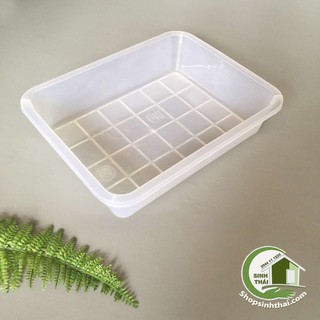 Khay nhựa trắng lớn trong suốt , mâm nhựa trắng lớn đựng thực phẩm, đổ rau câu, chế biến đồ ăn 28cm x 35cm x cao 7,5cm