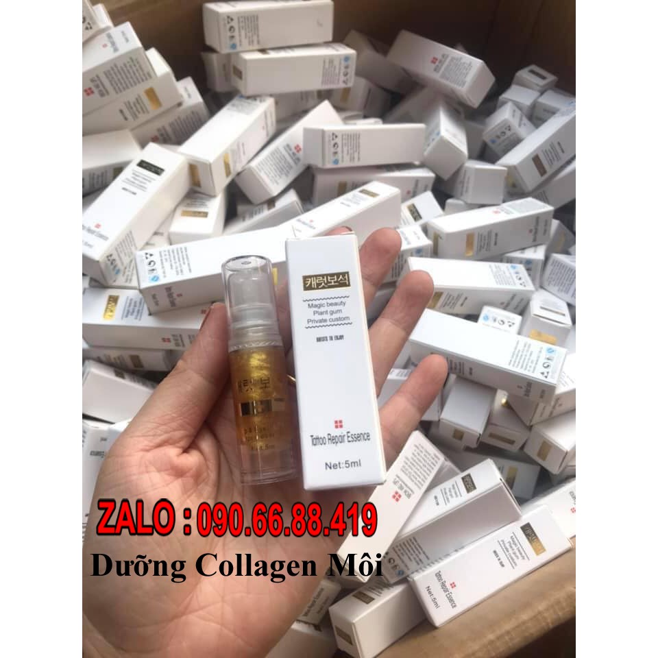 Dưỡng Môi Collagen Hàn Quốc 5ml