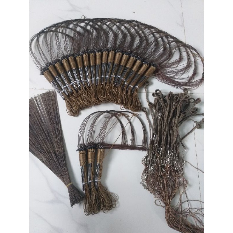 giò bẫy gà rừng