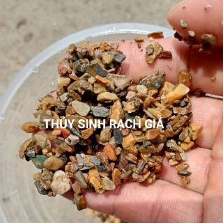 Sạn suối thủy sinh