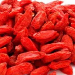Cẩu Kỷ Tử _ Ninh Hạ