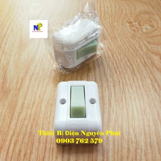 Công Tắc Rùa Hay Công Tắc Lấp Nổi