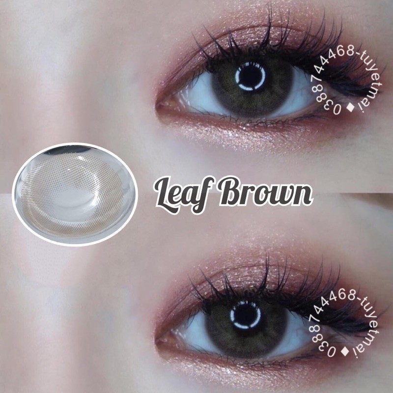 lens brown 14.2dp 0 độ