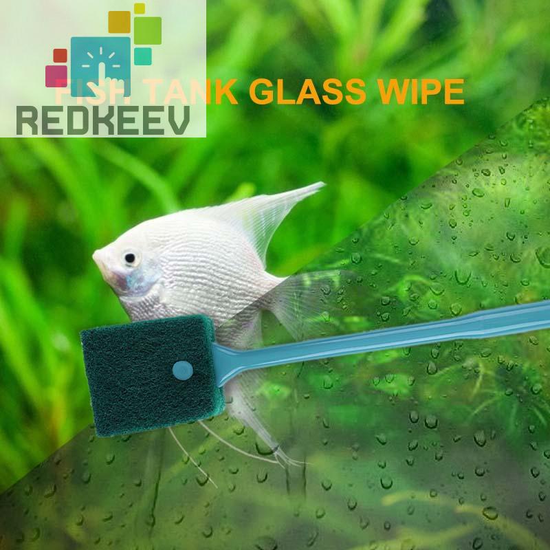 Cây lau kính bể cá cán dài tiện dụng