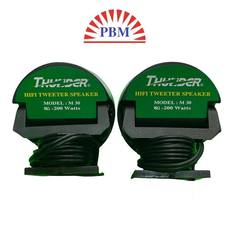 Loa chép rời 200W hiệu Thunder - Chính hãng.