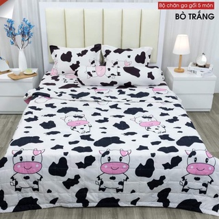 Chăn Hè Siêu Gọn Nhẹ Chất Liệu Cotton Poly Thấm Hút Mồ Hôi Tốt , Chần Bông 3 Lớp Dày Được Chọn Mẫu