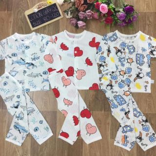 Sỉ 50b giấy qc