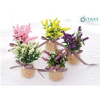 Chậu hoa nhỏ để bàn Lavender số 77