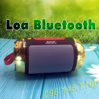 Loa bluetooth wst100 – loa bluetooth mini âm thanh sống động, kiểu dáng cá tính