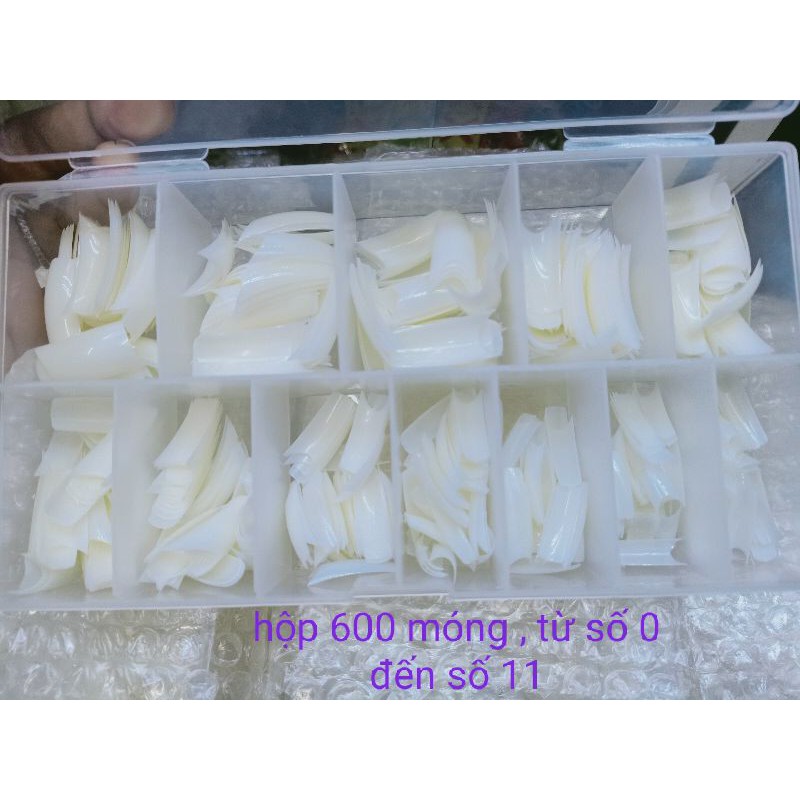 hộp móng tay giả phom hàn