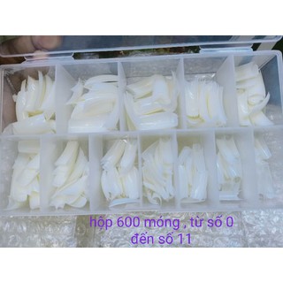 Hộp móng tay giả phom hàn