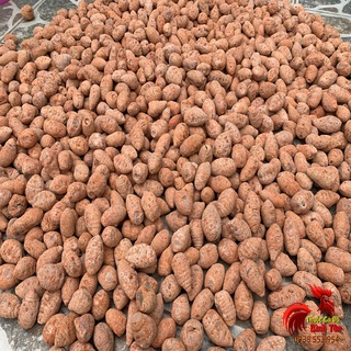 Củ Nghệ Đỏ Cho Gà Đá Cao Cấp [Nguyên Chất 100%] - 500gram