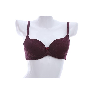 Áo lót nữ ren họa tiết Jobelli A2372