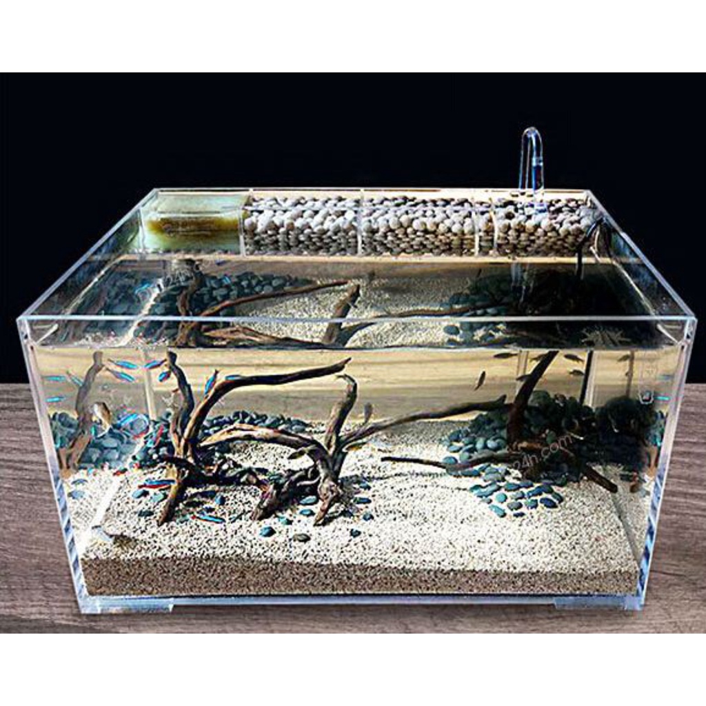 Bể cá mini thủy sinh chất liệu mica để bàn dài 24/ cao14/ sâu 12cm