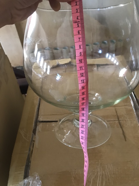 BỂ CÁ CHẬU CÂY THỦY TINH CÓ CHÂN  DK26cm X H30cm- LCĐ