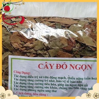 [Rẻ Vô Địch] Cây Thành Ngạnh/Đỏ Ngọn 🍀 Điều Trị Xơ Vữa Động Mạch 🍀 1KG NK107