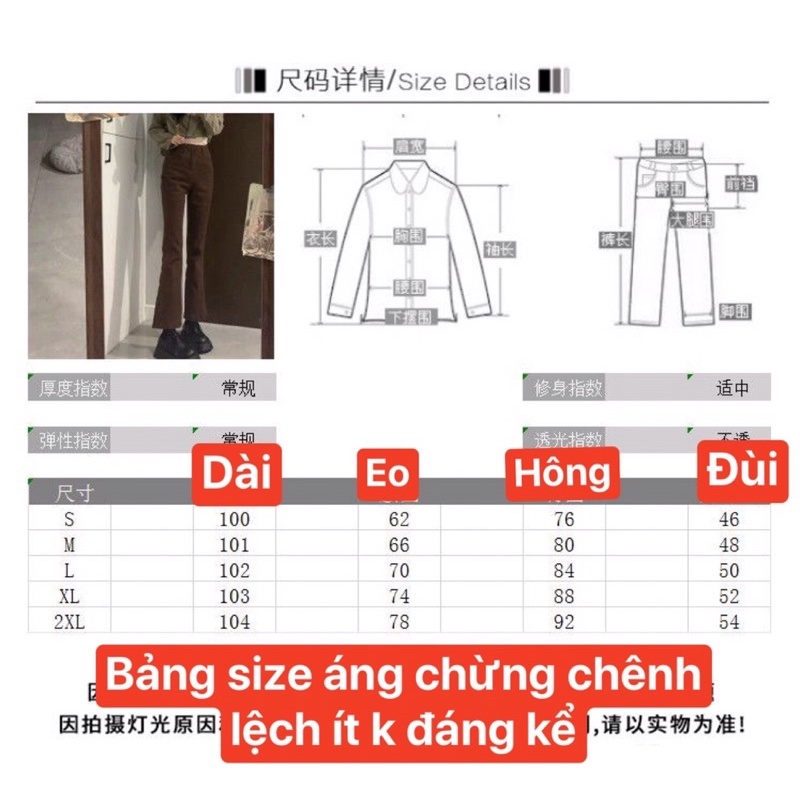 Quần ống loe vừa , lưng cao hách chân . Phong cách Hàn quốc thu đông
