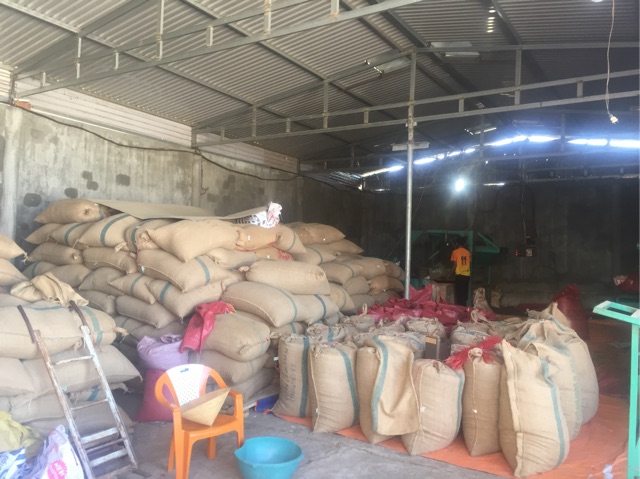 Combo 10kg cà phê nguyên chất rang mộc Chậm Coffee – Yêu Thương 250g (Không kèm phin) | BigBuy360 - bigbuy360.vn