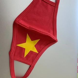 Combo 5 Khẩu trang vải kháng khuẩn trẻ em