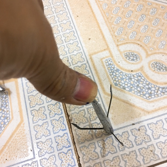 LƯỠI CÂU TIÊU 3 LỆCH CAO CẤP