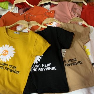 phông cloptop