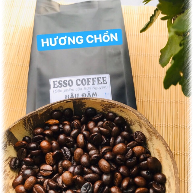 CAFE CHỒN - TỔNG ĐẠI LÝ CAFE HƯƠNG CHỒN CHẤT LƯỢNG CAO