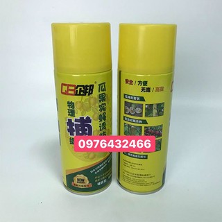 Keo bẫy ruồi vàng bằng chai