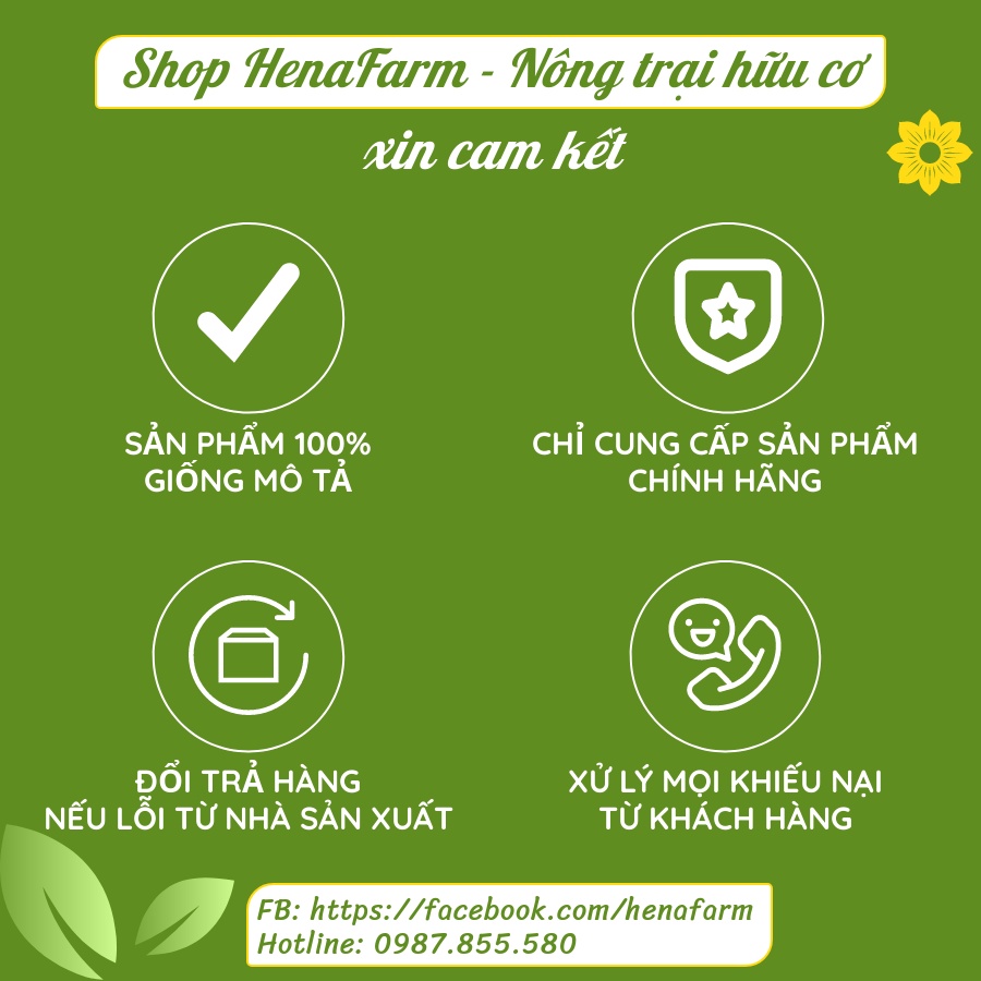 Ngũ Cốc Tăng Cân Hena 500g, Ngũ Cốc Ăn Sáng Tăng Cân Tuyệt Đối An Toàn