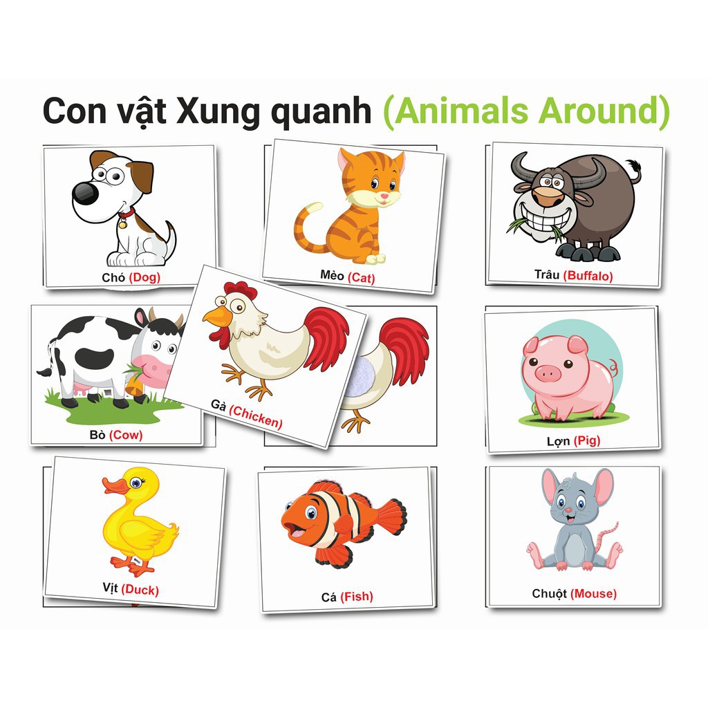 [ SALE ] Học Liệu Dính Dán Tổng Hợp 18 Chủ Đề - Học Liệu Dính Dán Montessori - Matching Book