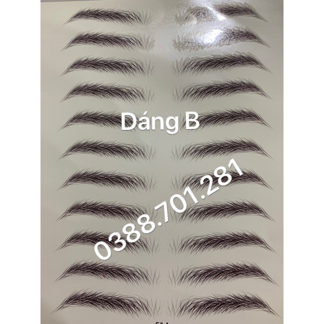Xăm lông mày 3D - 1 bộ 11 cặp [ Có clip hương dẫn ] | BigBuy360 - bigbuy360.vn