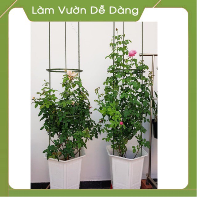 (DEAL SỐC) Khung Đỡ, Giá Đỡ Hoa Hồng Leo, KHUNG HOA HÌNH TRÒN